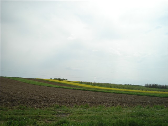 novosti